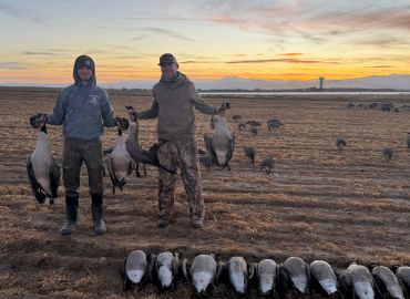 Severance, Co - Goose Hunt